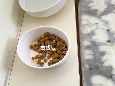 f0372998_19544564.jpg