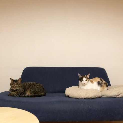 a0250606_22271013.jpeg