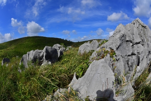 c0168815_02315714.jpg