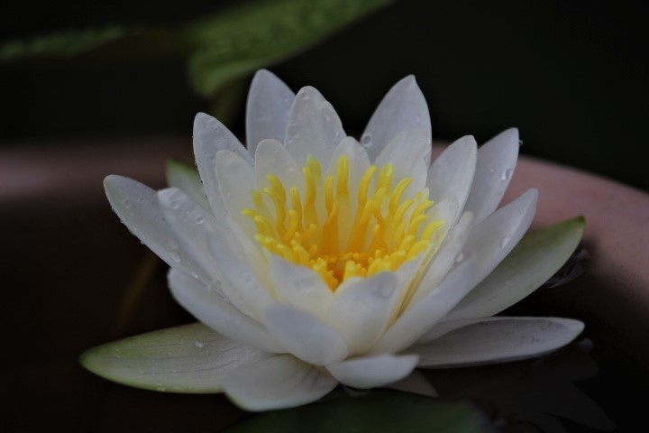 f0354923_10264278.jpg