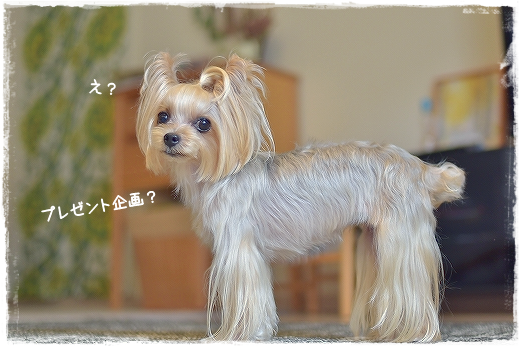 d0179828_00270139.png
