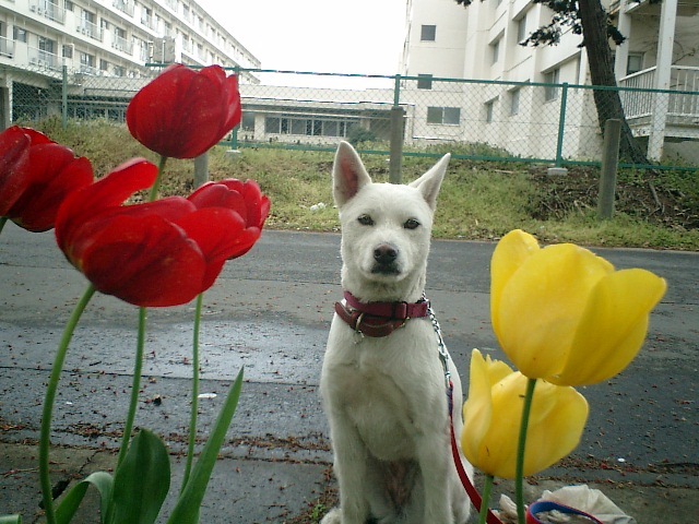 c0123029_18581908.jpg