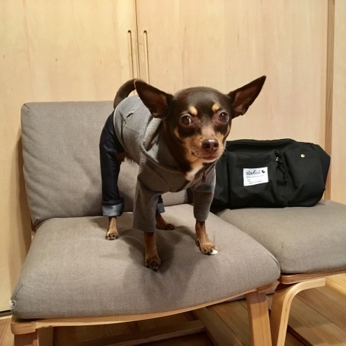 a0291132_14355465.jpeg