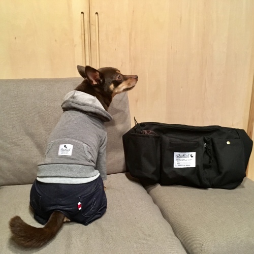a0291132_14361398.jpeg