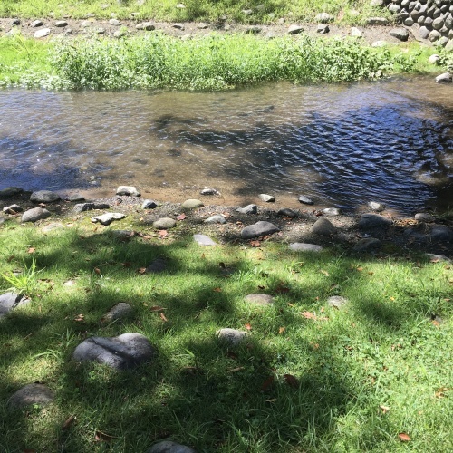 a0291132_16093866.jpeg