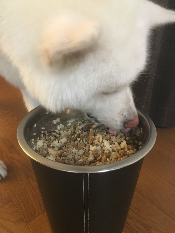 e0364035_17375133.jpeg