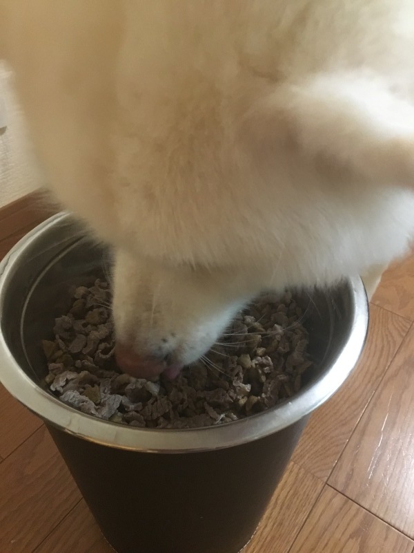 e0364035_17432815.jpeg
