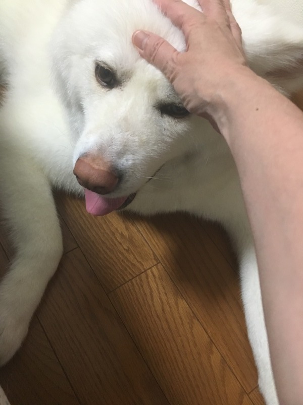 e0364035_18293852.jpeg