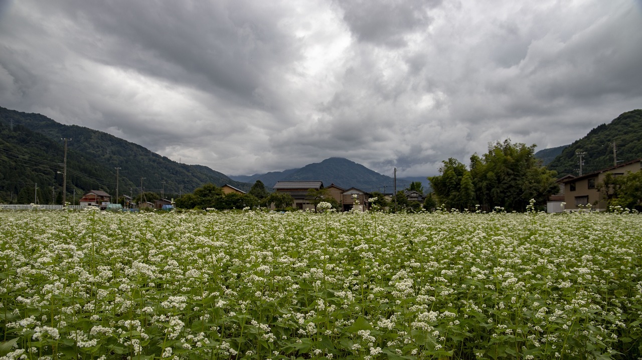 f0297537_09274784.jpg