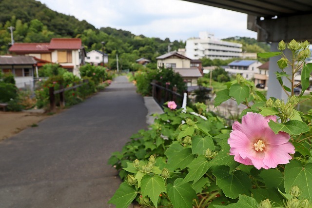 a0242438_17261737.jpg