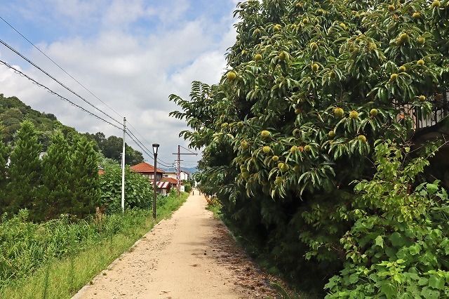 a0242438_17262812.jpg