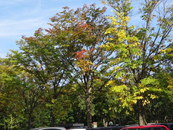 f0369840_21001590.jpg