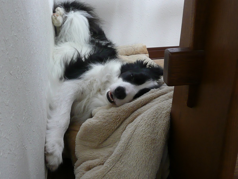 c0147241_20131742.jpg