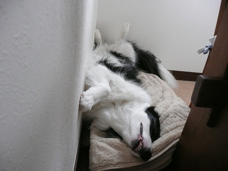 c0147241_20132058.jpg