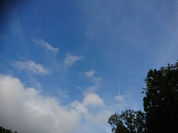 e0145441_20454755.jpg