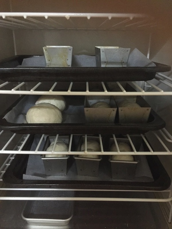 c0215653_01174408.jpeg