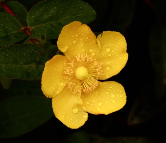 a0248459_12354181.jpg