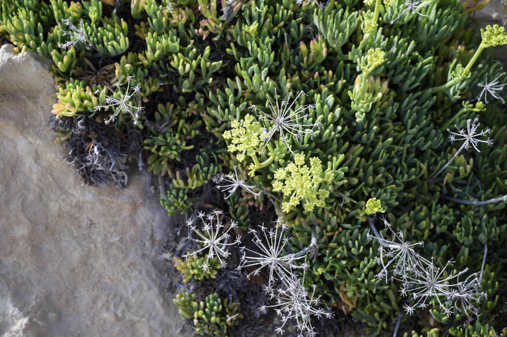 c0108673_07920.jpg