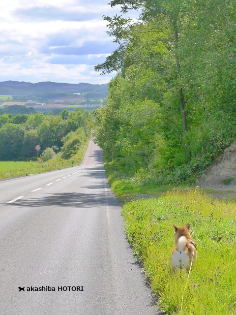 f0150377_11362345.jpg