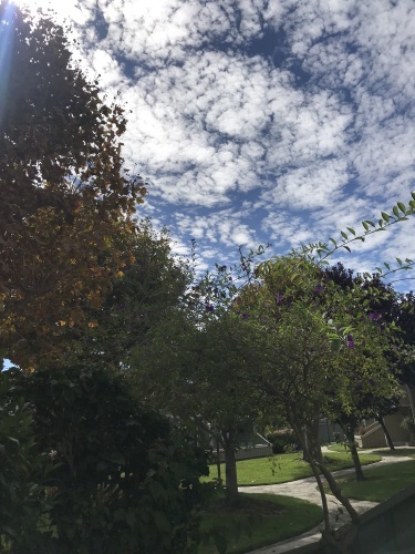 b0105379_09255012.jpeg