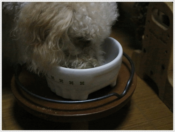 b0175688_20153802.gif
