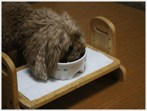 b0175688_20154208.gif
