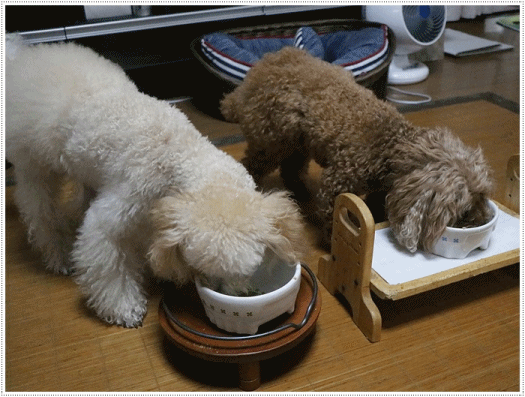 b0175688_20154780.gif