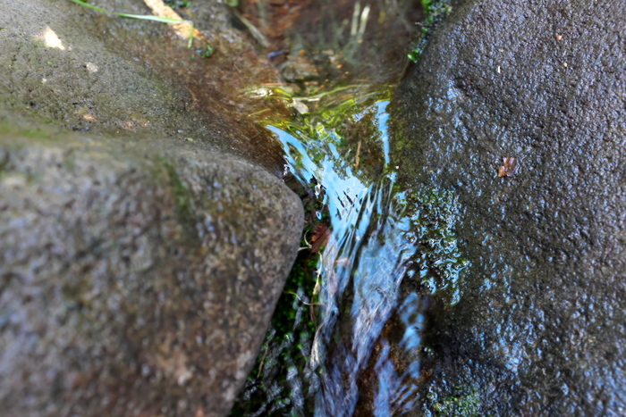 b0339488_22100507.jpg