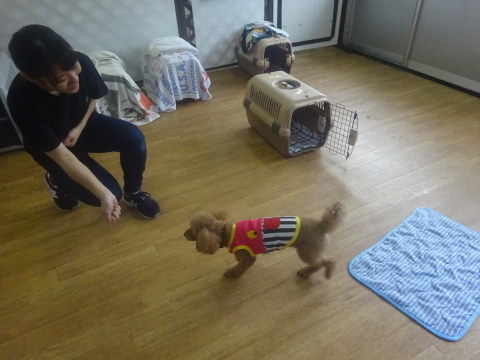 a0338800_08361930.jpg