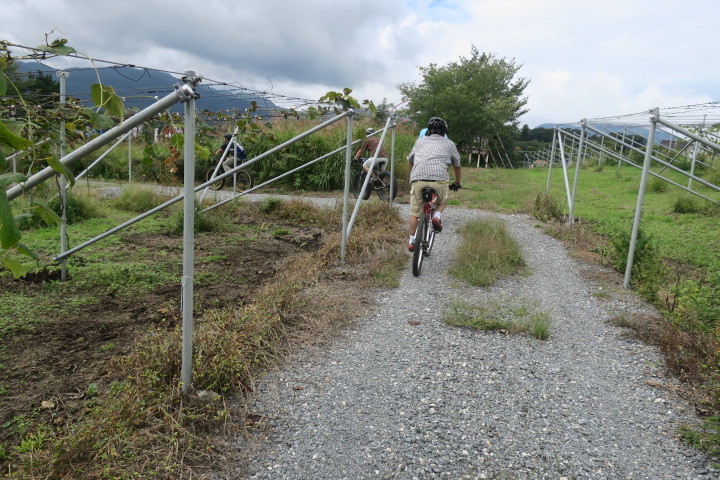 蒜山ファットバイク／ＭＴＢガイドツアー_c0132901_18463606.jpg