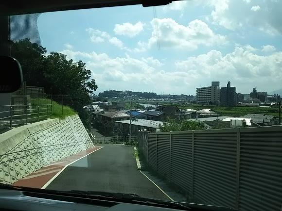 食べ損なった柿の葉寿司_b0329603_17294545.jpg