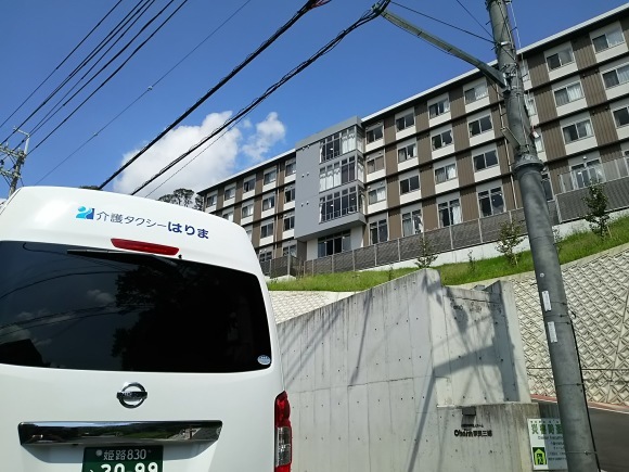 食べ損なった柿の葉寿司_b0329603_17311094.jpg