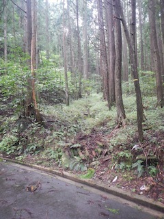 c0359615_19592343.jpg
