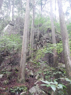 c0359615_19593654.jpg