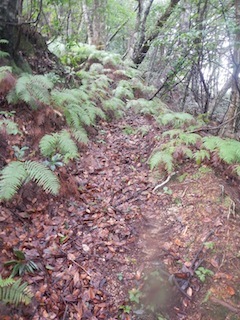 c0359615_19594232.jpg