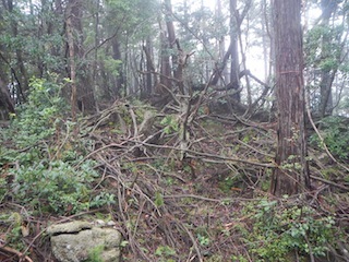 c0359615_19594936.jpg