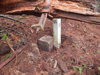 c0359615_20004491.jpg