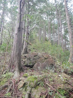 c0359615_20021087.jpg