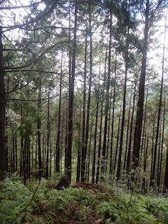 c0359615_20023220.jpg