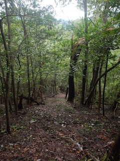 c0359615_20025606.jpg