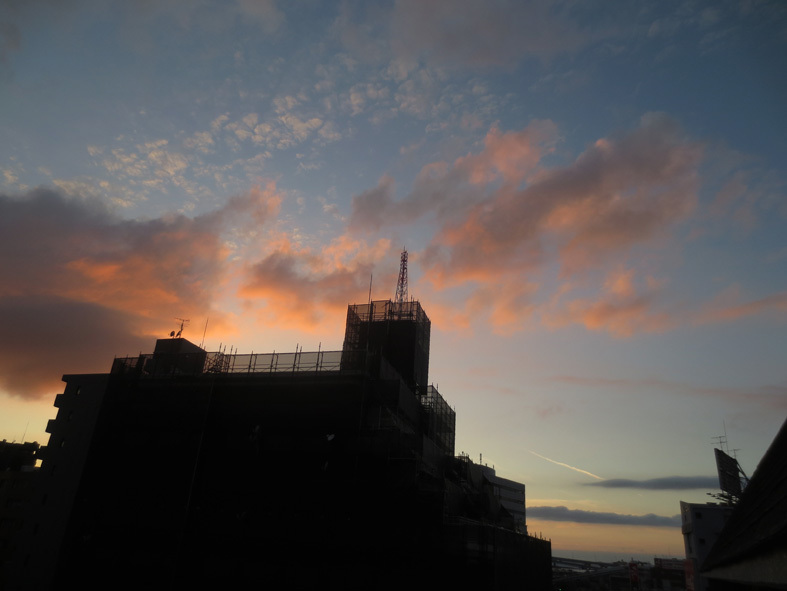 d0190217_22201994.jpg