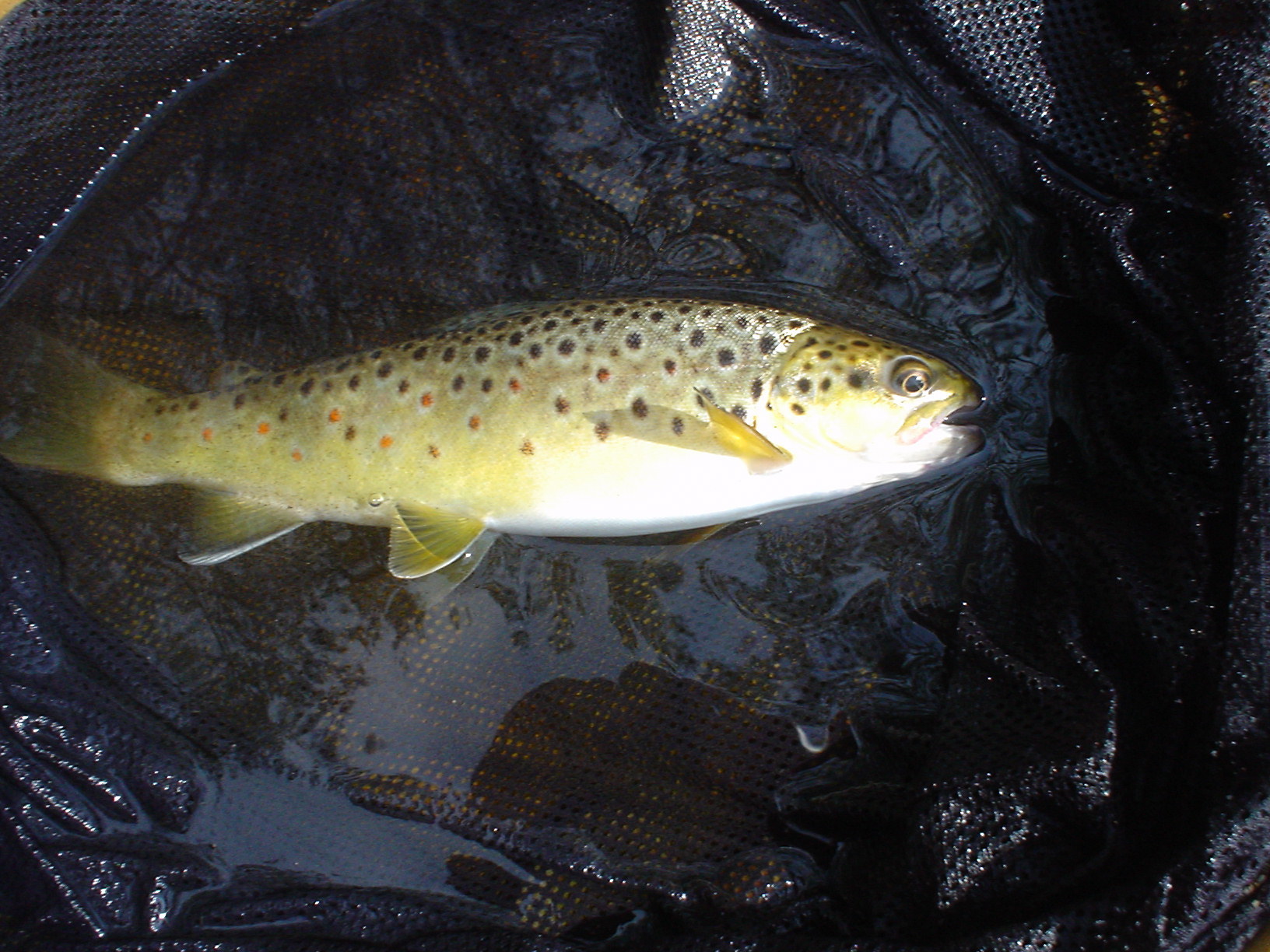 f0280717_06021318.jpg