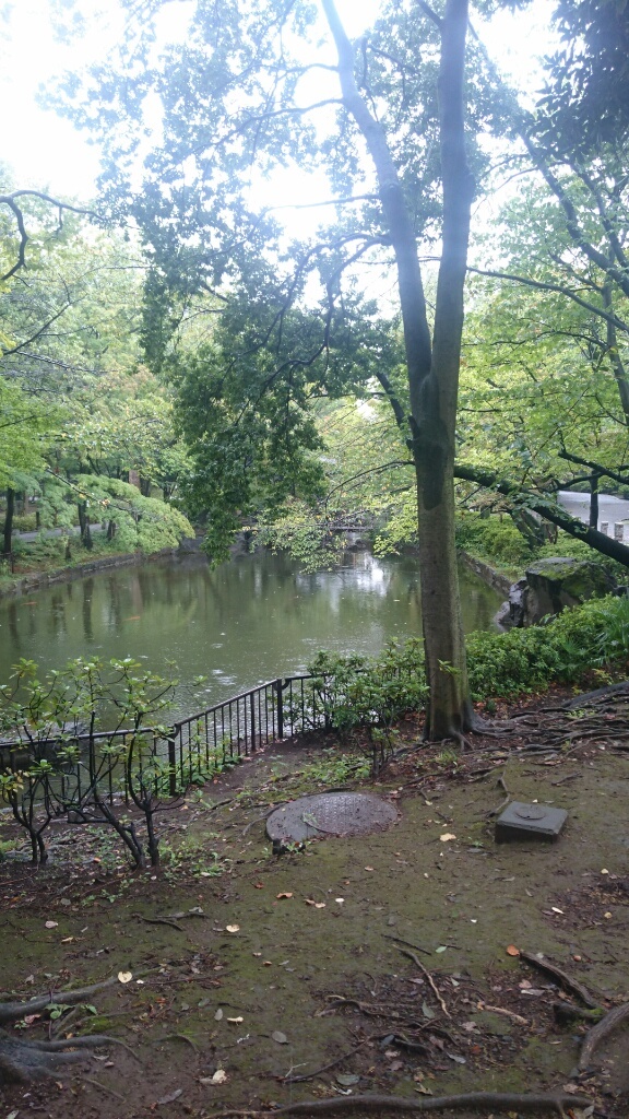 b0339522_15522329.jpg