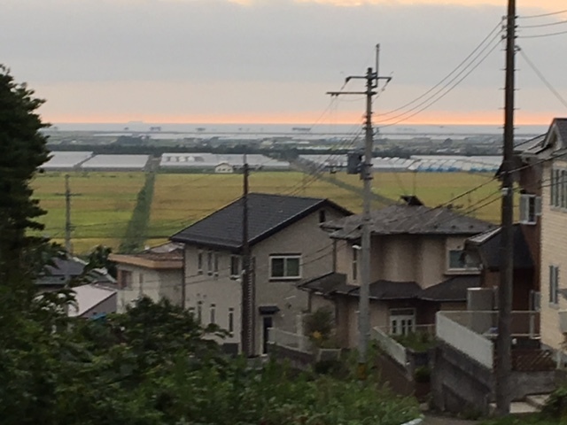 e0190625_06421982.jpg