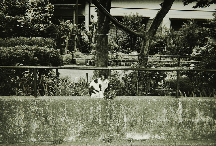 c0381632_13044878.jpg