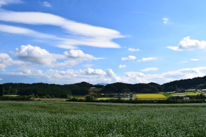 a0228333_18113293.jpg