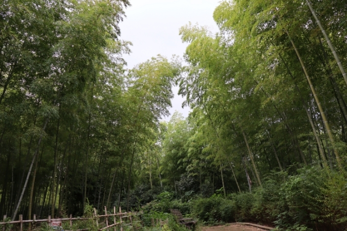 d0140234_19314269.jpg