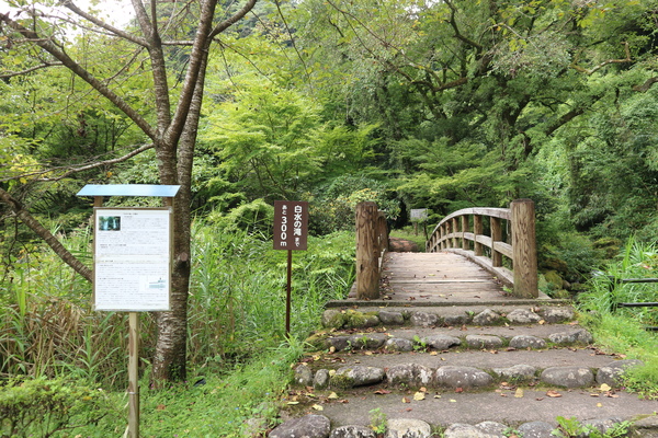 e0272335_166127.jpg