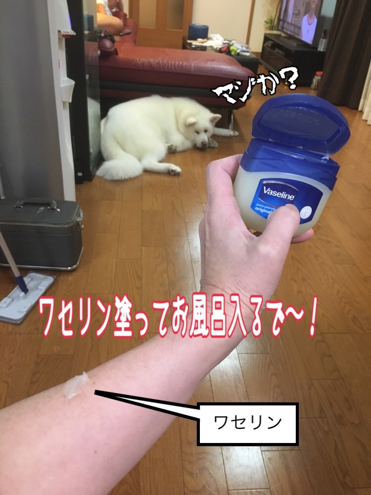 e0364035_01403022.jpeg