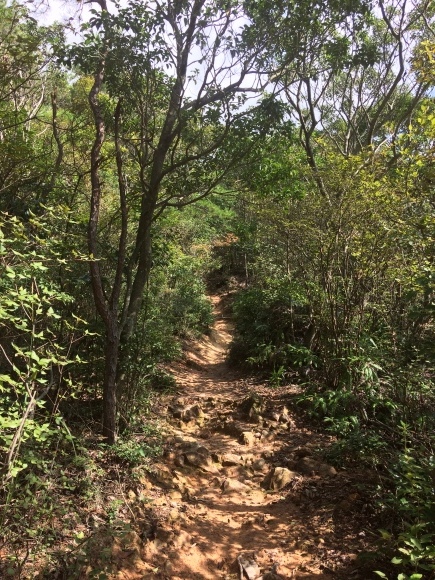e0376642_20572411.jpg